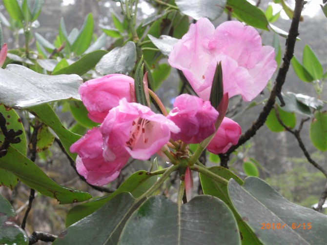 1526970674103504.jpg 1 (12).jpg