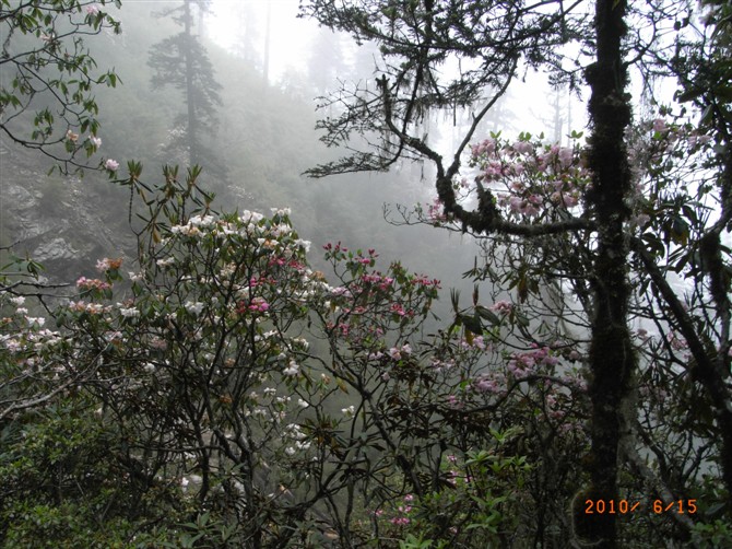 1526973474574043.jpg 1 (13).jpg