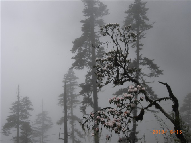 1526973700115484.jpg 1 (16).jpg