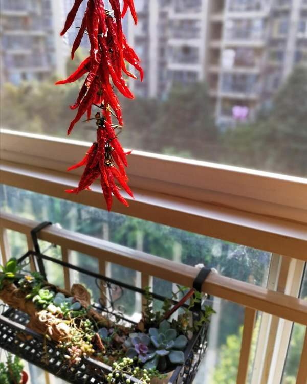 1625210797885723.png 3.png